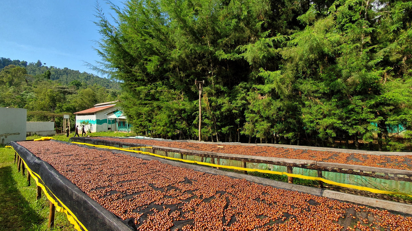 Ethiopia Yirgacheffe Idido (Washed)
