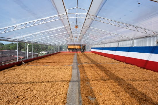 Costa Rica Finca La Esmerelda (Alma Negra Natural Process) - Filter