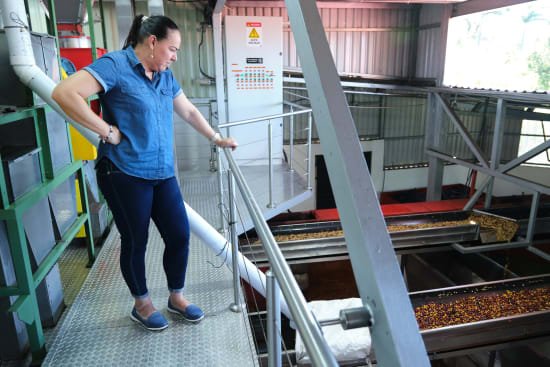 Costa Rica Finca La Esmerelda (Alma Negra Natural Process) - Filter