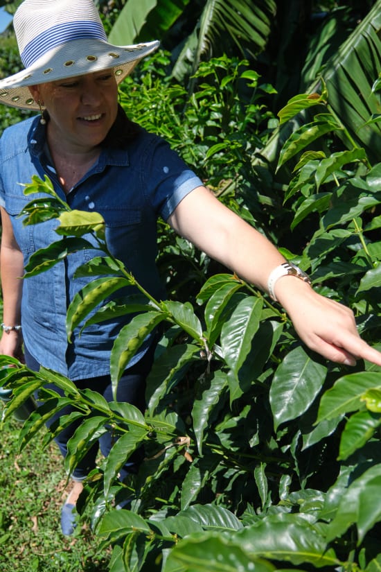 Costa Rica Finca La Esmerelda (Alma Negra Natural Process) - Filter