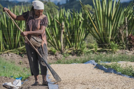 Papua New Guinea Kindeng Mill (Natural Process)