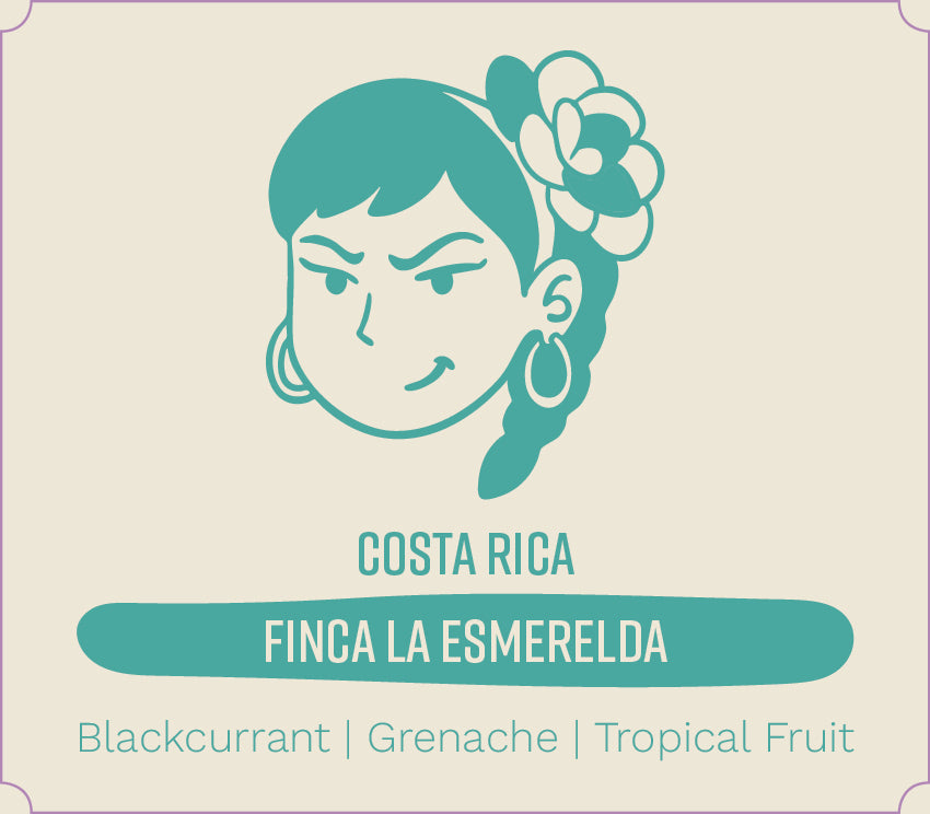 Costa Rica Finca La Esmerelda (Alma Negra Natural Process) - Filter