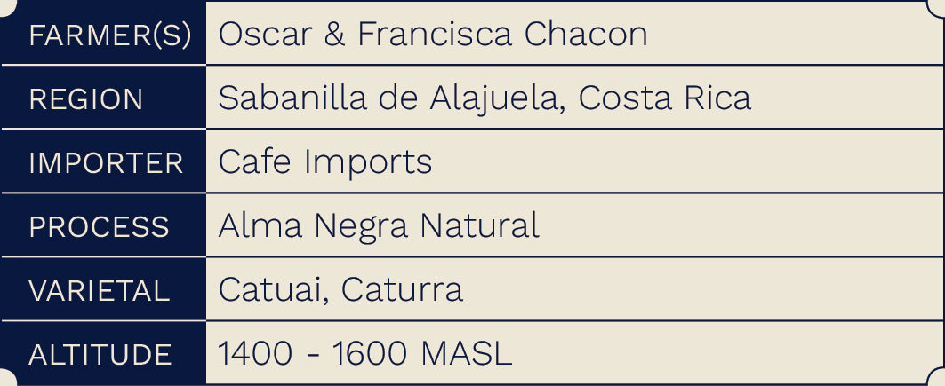 Costa Rica Finca La Esmerelda (Alma Negra Natural Process) - Filter
