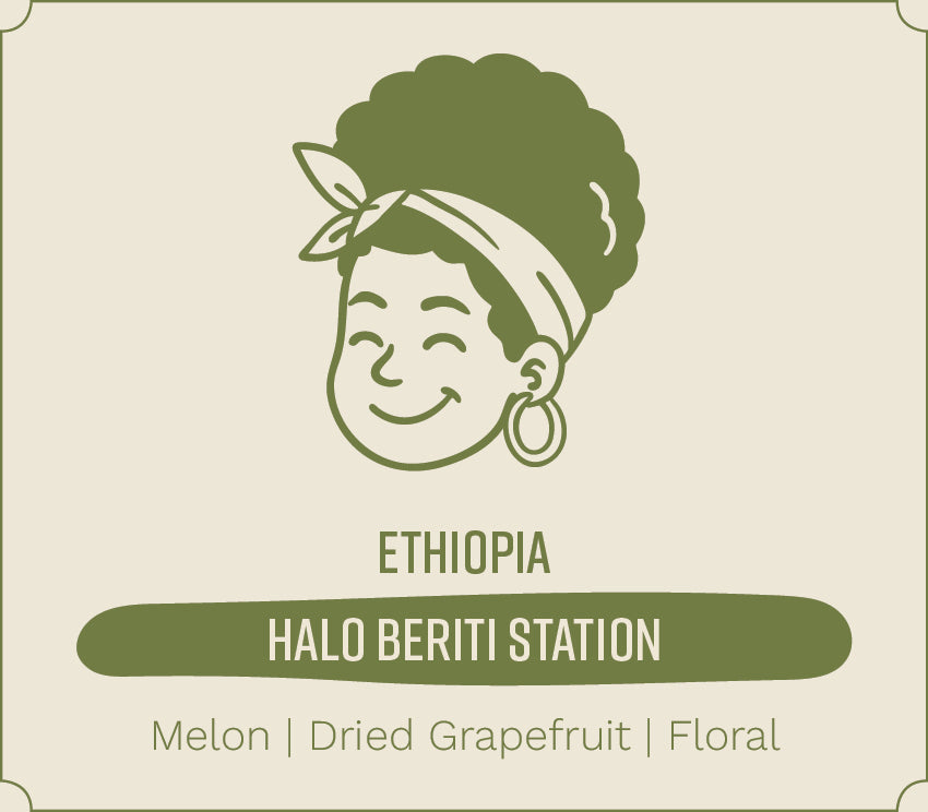 Ethiopia Yirgacheffe Halo Beriti (Natura Process)