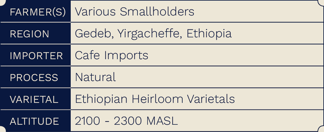 Ethiopia Yirgacheffe Halo Beriti (Natura Process)