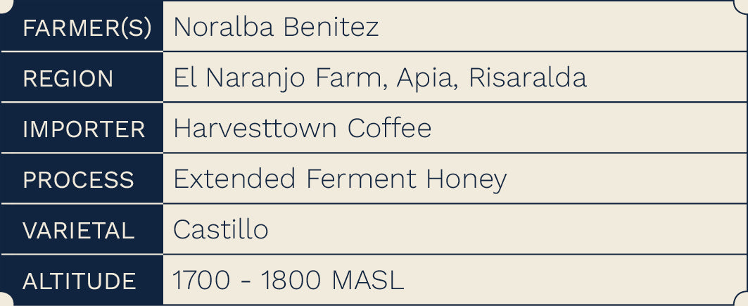 Colombia Noralba Benitez (Honey Process)